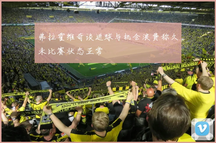 弗拉霍维奇谈进球与机会浪费称久未比赛状态正常