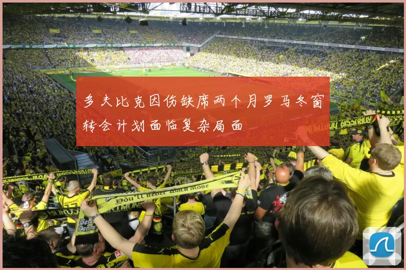 多夫比克因伤缺席两个月罗马冬窗转会计划面临复杂局面
